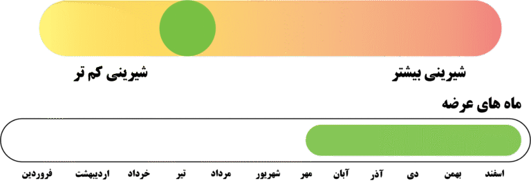 more and less template green kiwi